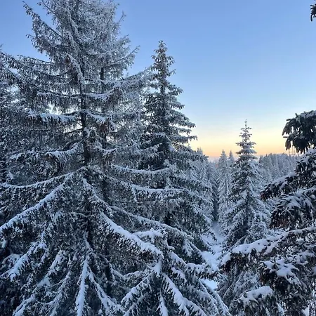 アパート Woodside 431, - One Separate Bedroom 35m2- Free Parking &