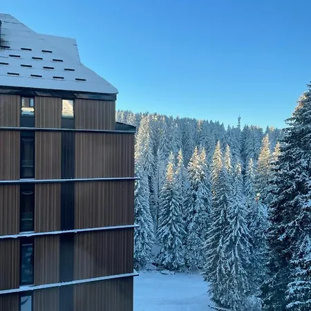 Woodside 431, - One Separate Bedroom 35m2- Free Parking & *