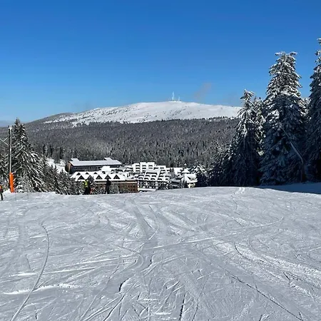 Woodside 431, - One Separate Bedroom 35m2- Free Parking & Apartmán Kopaonik